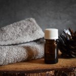 tree, essential oil, cone-4211887.jpg